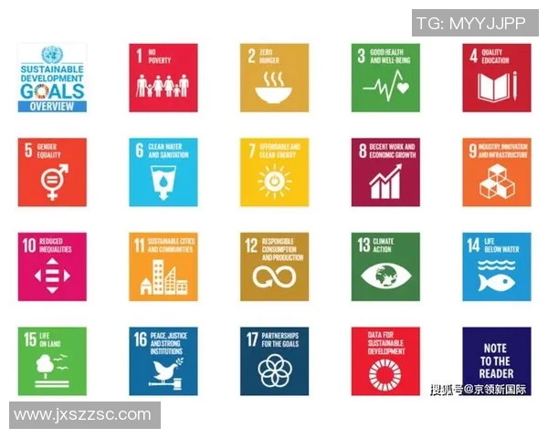 实现可持续发展目标3促进全民健康与福祉的创新路径与实践探索